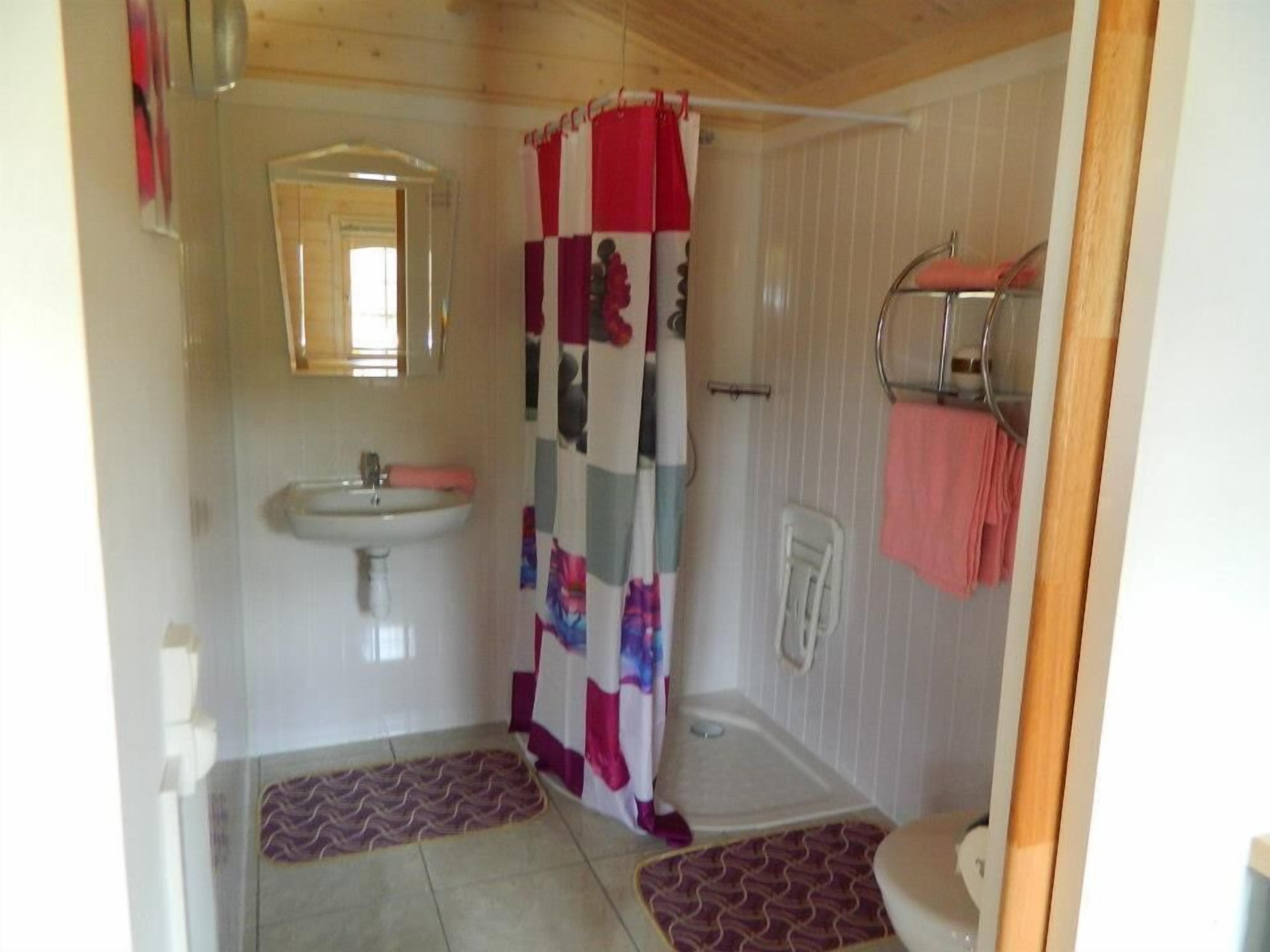 A bathroom with a sink, toilet, shower, and a mirror.