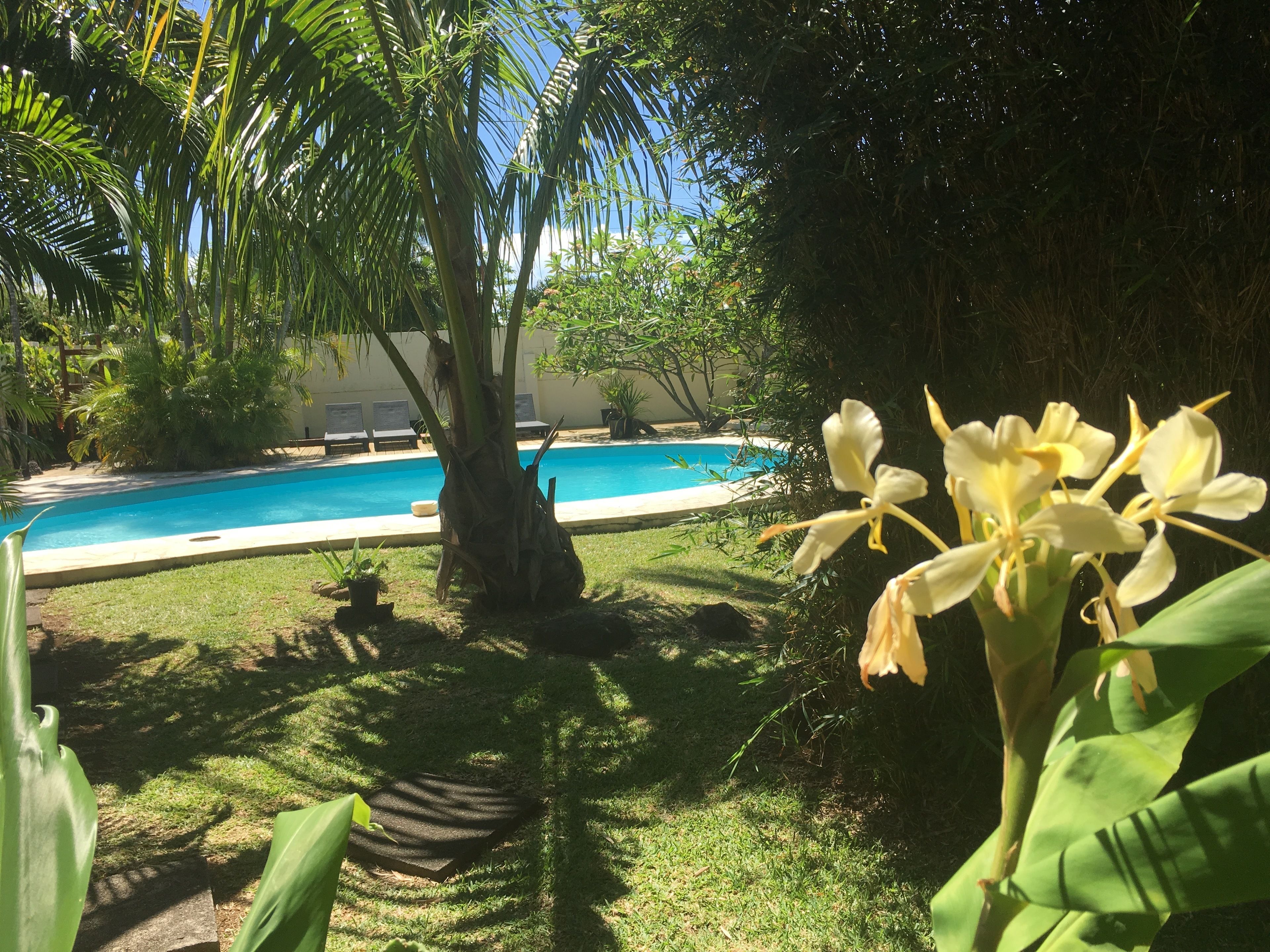 Foto - La Rose du Sud