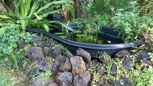 Un jardí amb un estany, roques i diverses plantes.