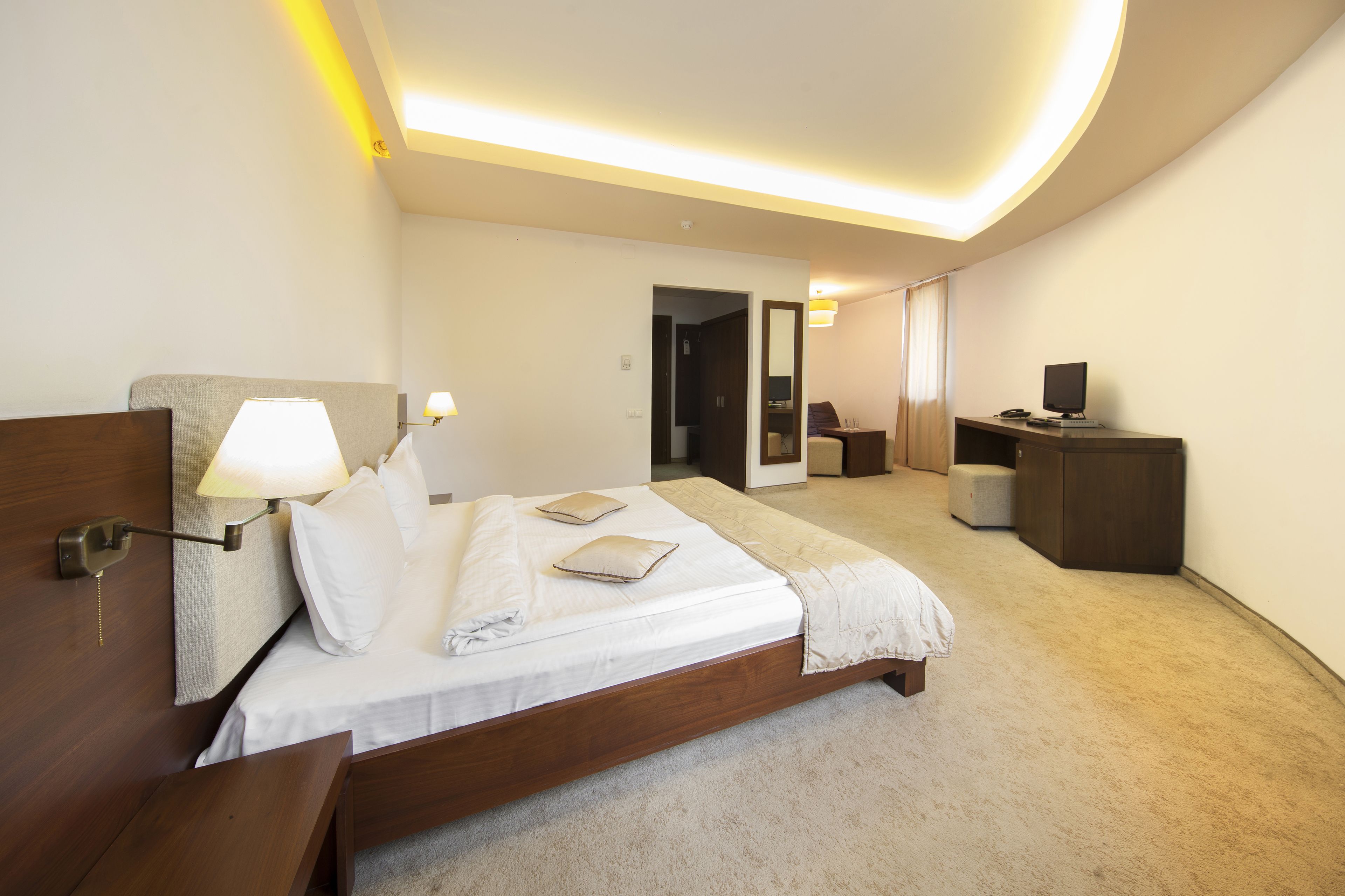 Executive Double Room | Minibar, rollaway beds, free WiFi