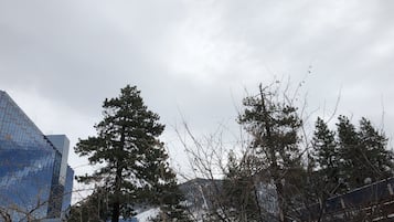 施設からの眺望