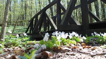 Wandern