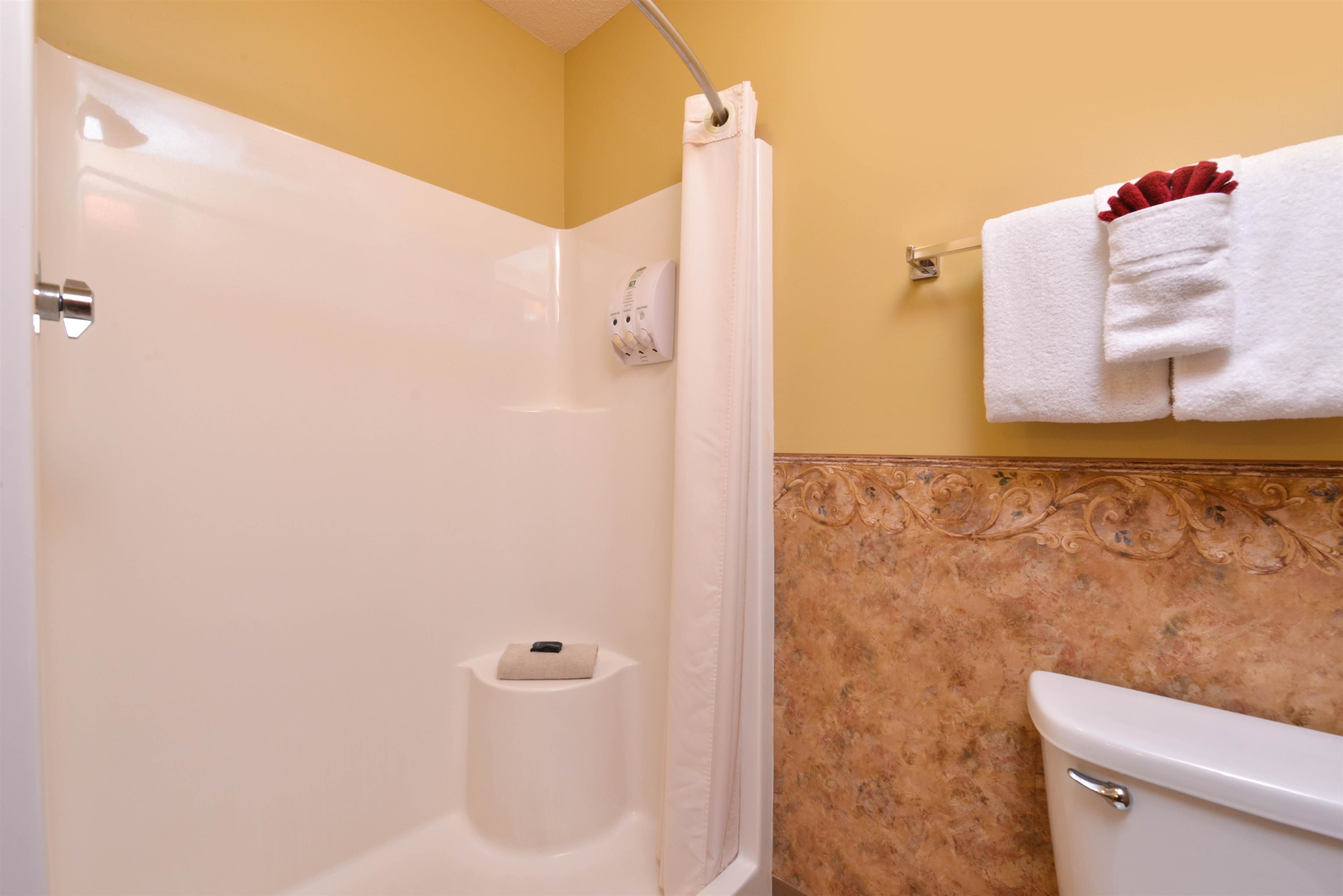 A bathroom with a shower, toilet, and towel rack.