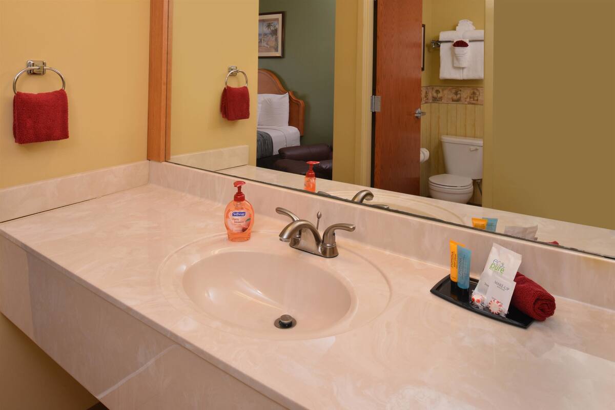 Une salle de bain d’hôtel avec un grand lavabo, un miroir et des articles de toilette posés sur le comptoir.