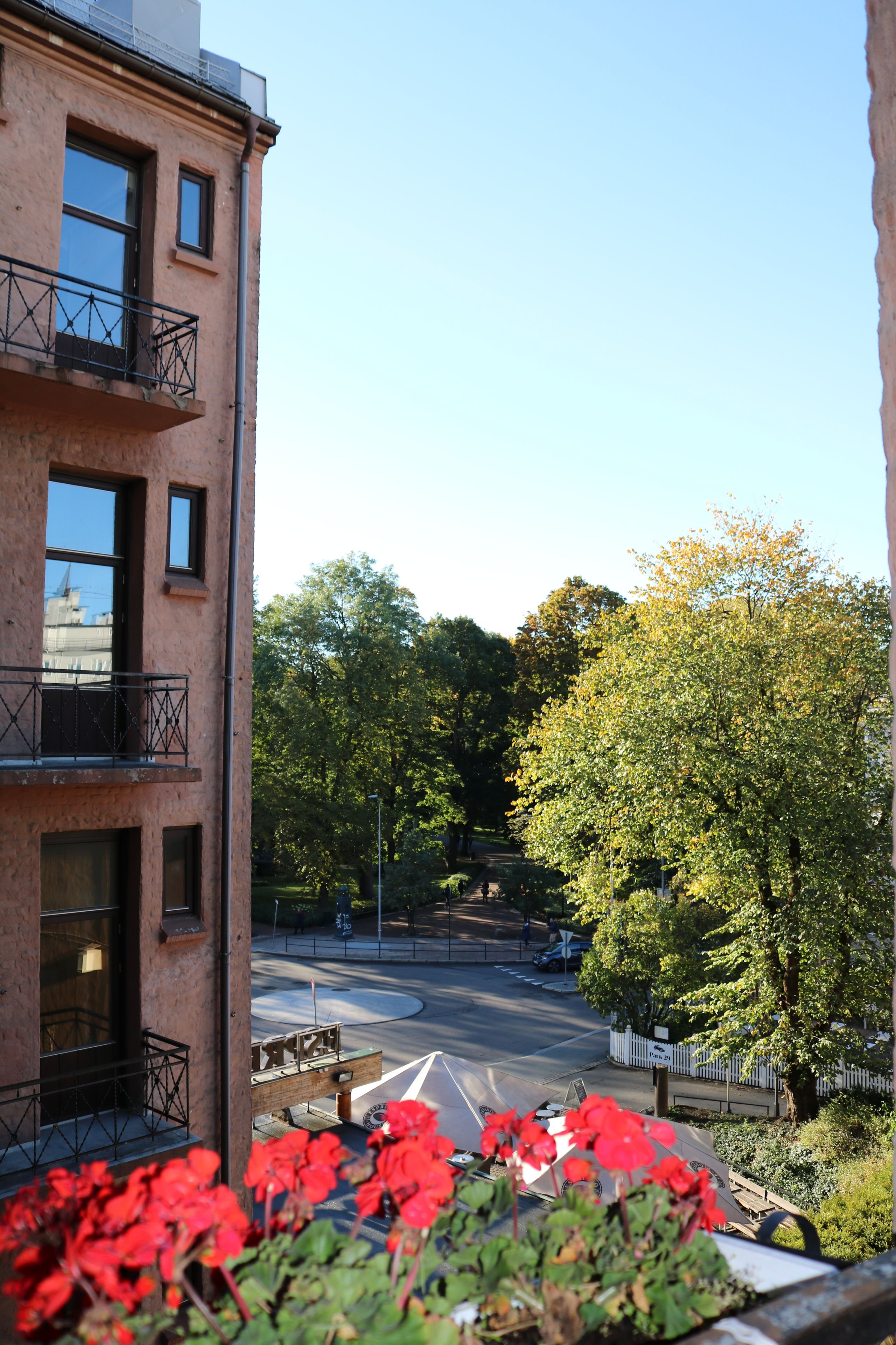 single room | park view