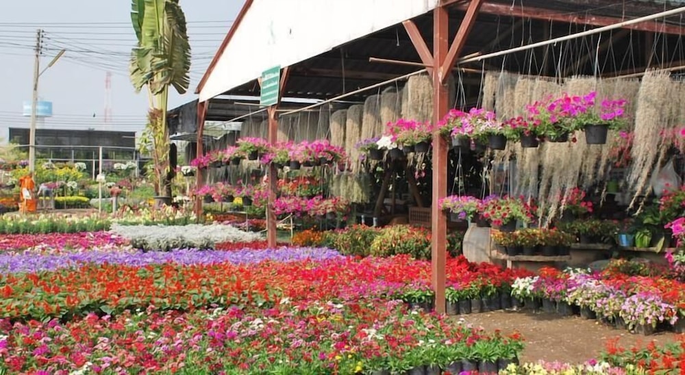 Napatra Hotel by null