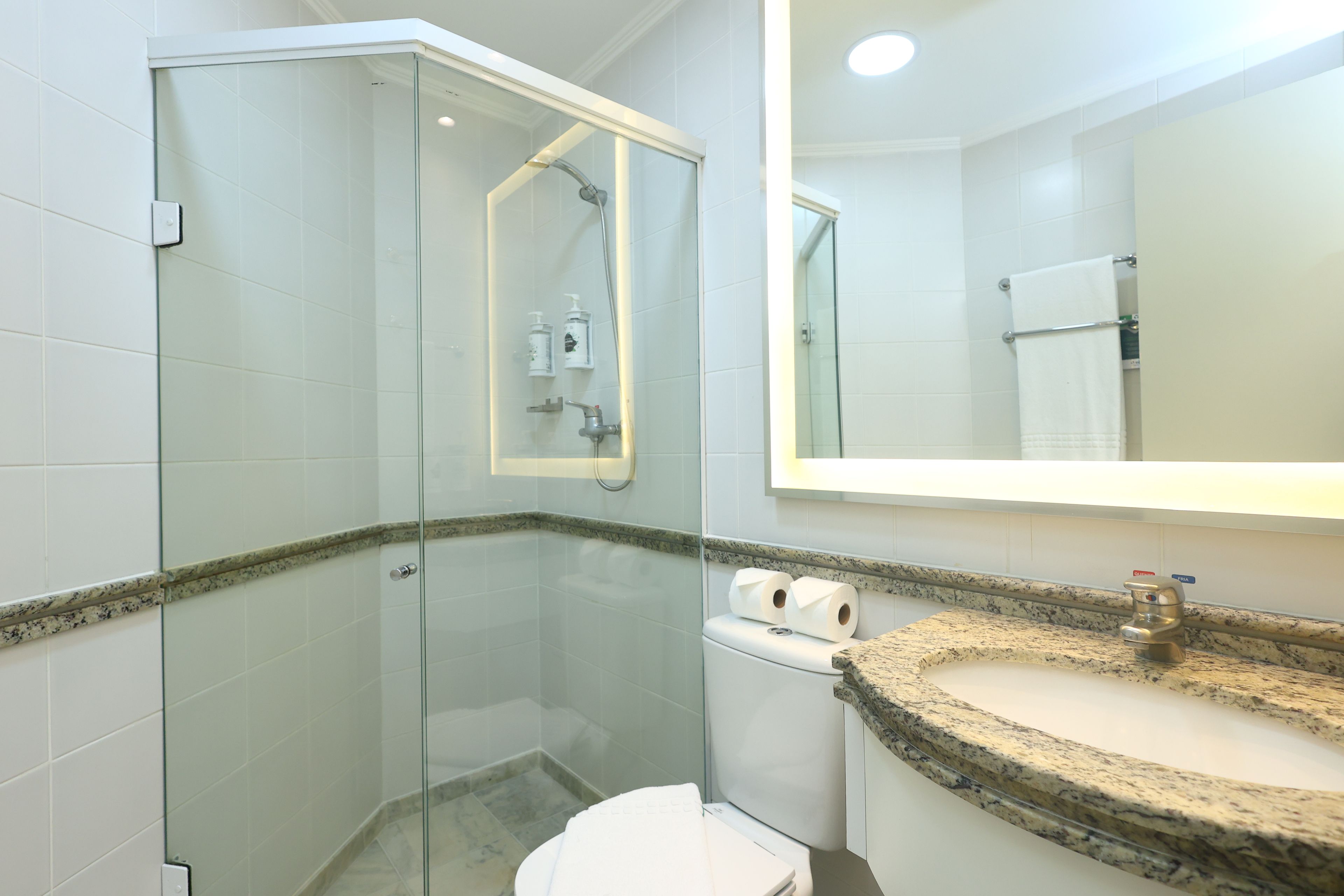 A bathroom with a glass-enclosed shower, a sink with a granite countertop, and a toilet.