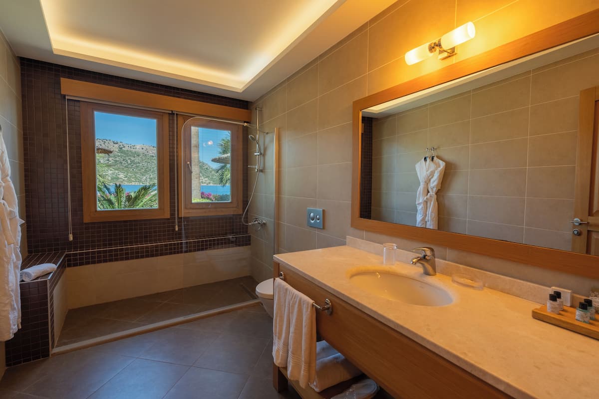 deluxe room | bathroom | hydromassage showerhead, free toiletries, hair dryer, bathrobes