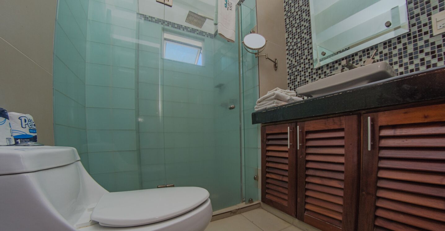 A bathroom with a toilet, a glass shower enclosure, and a wooden vanity with a mirror.