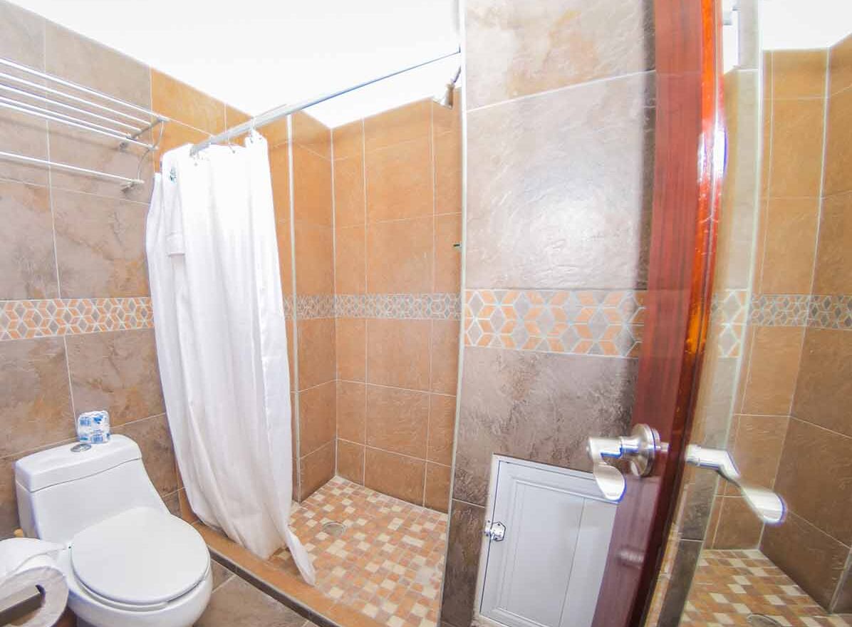 A bathroom with a shower, toilet, and a cabinet.