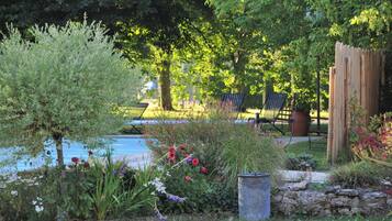 A garden with a pool, surrounded by various plants and flowers.
