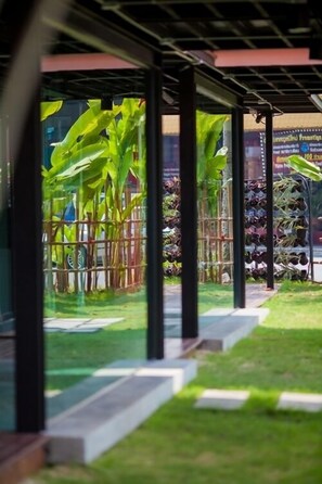 A covered outdoor area with a glass wall, a pathway, and a variety of plants. - Sleepbox Chiangmai Hotel (Chiang Mai)