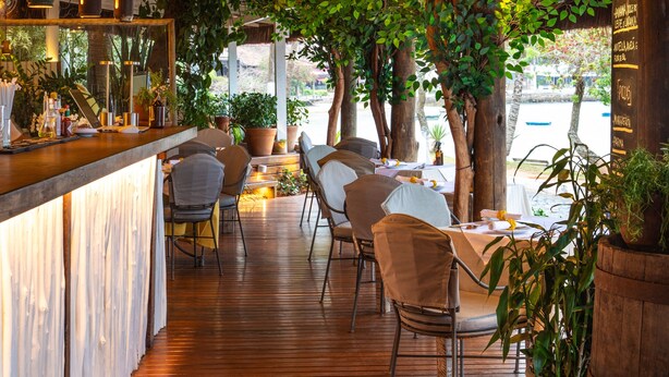 Un área de comedor al aire libre con suelo de madera, mesas, sillas y plantas en macetas.