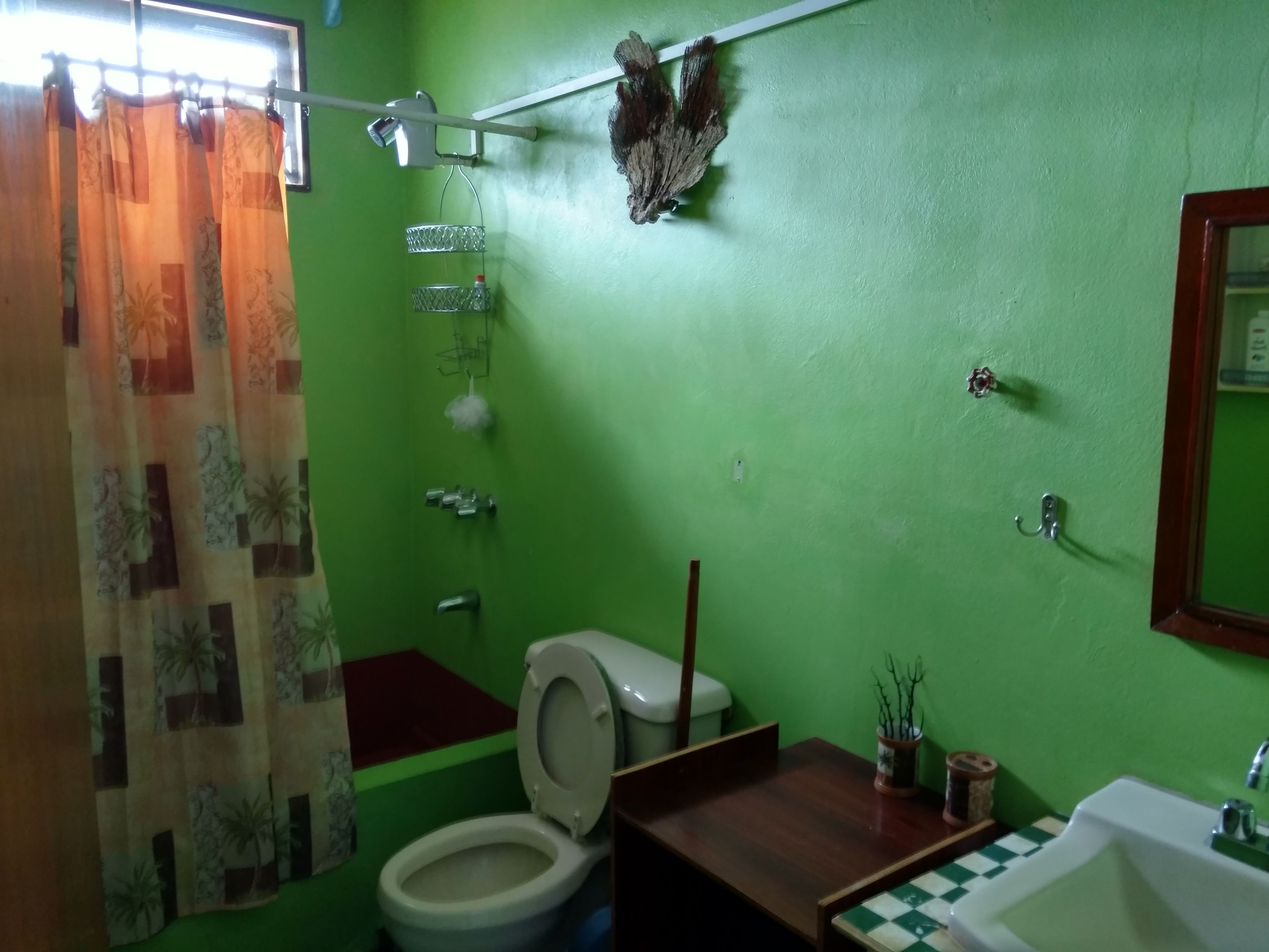 A bathroom with a green wall, a toilet, a sink, and a shower area.