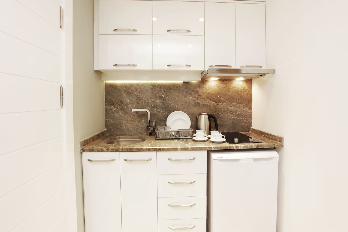 fridge, stovetop, cookware/dishes/utensils