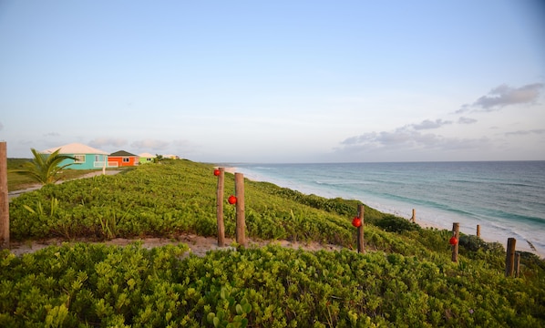 A coastal view with a beach, a grassy area with vegetation, and colorful buildings in the background.