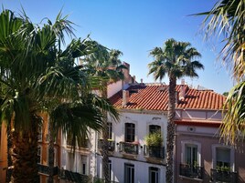 Vista desde la habitación