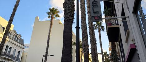 A street with tall palm trees, a building with balconies, and a sign with text.
