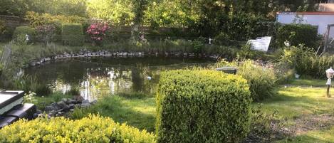 A well-maintained garden with a pond, neatly trimmed hedges, and a variety of plants.