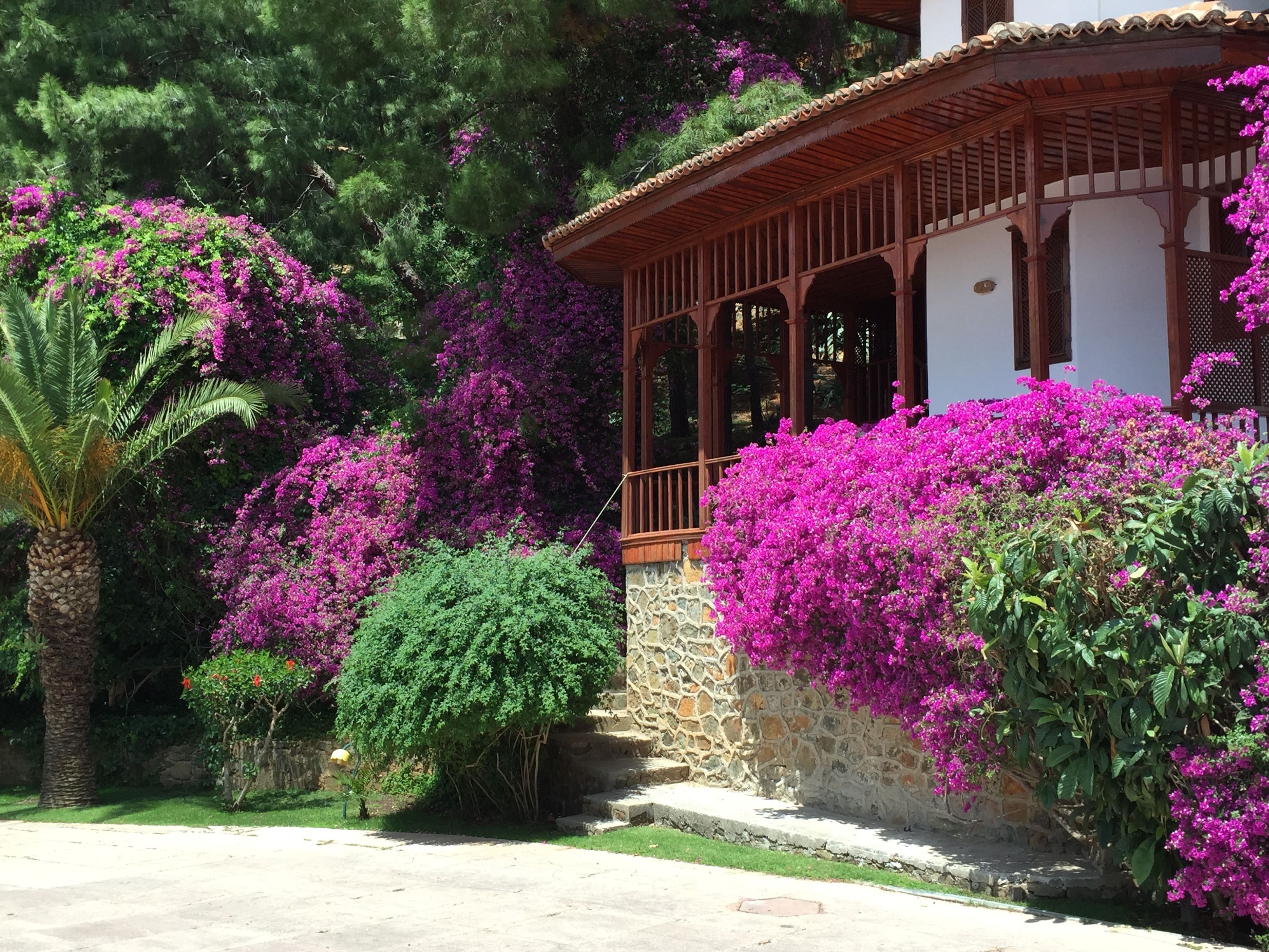 A traditional house with a stone wall and wooden balcony, surrounded by lush greenery and vibrant purple flowers.