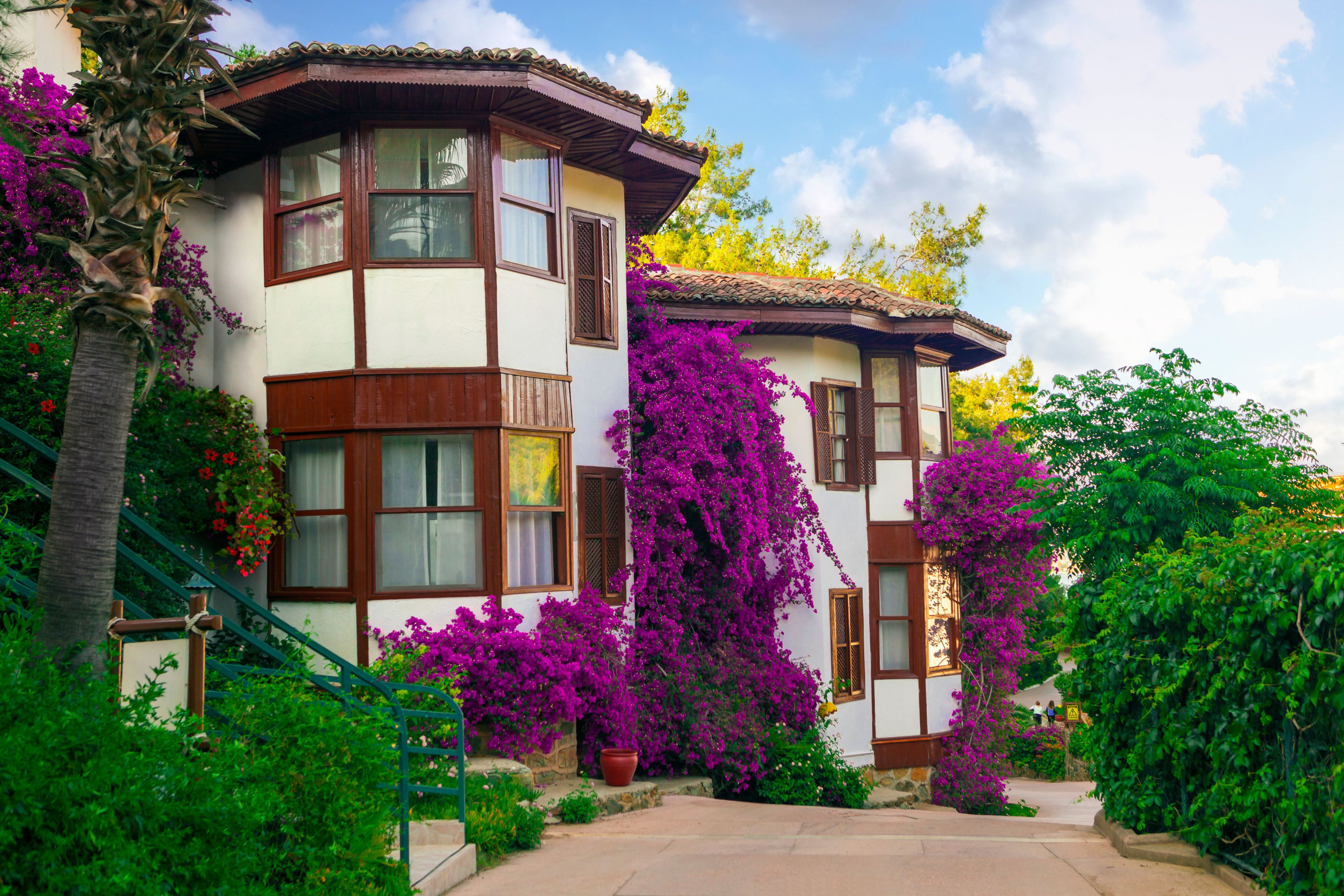 A traditional Mediterranean-style building with a corner turret, large windows, and vibrant bougainvillea vines.
