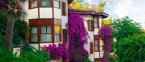 A traditional Mediterranean-style building with a corner turret, large windows, and vibrant bougainvillea vines.