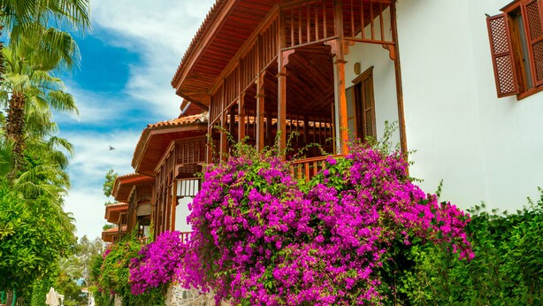 A traditional building with a wooden balcony and a lush purple flowering bush in front. - Club & Hotel Letoonia (Fethiye)