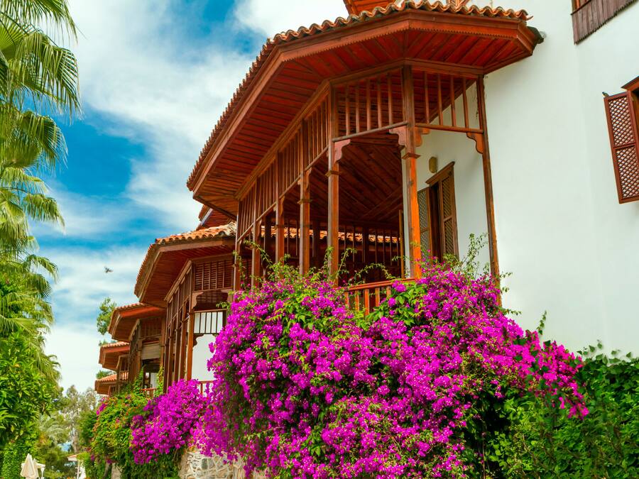 Minibar, in-room safe, blackout curtains, free cots/infant beds