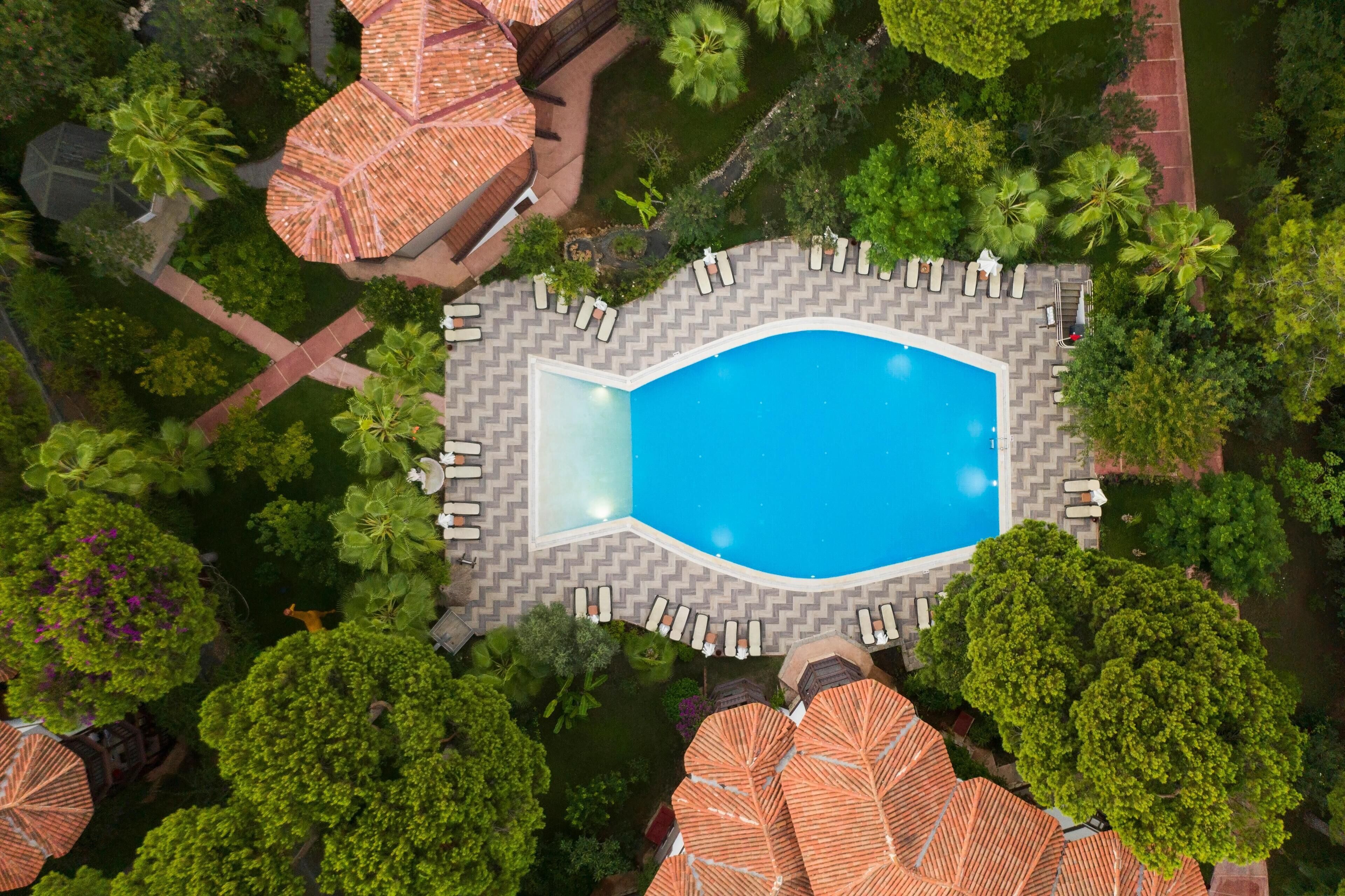 Vista aérea de uma piscina cercada por espreguiçadeiras e guarda-sóis, com vegetação exuberante e árvores ao fundo.