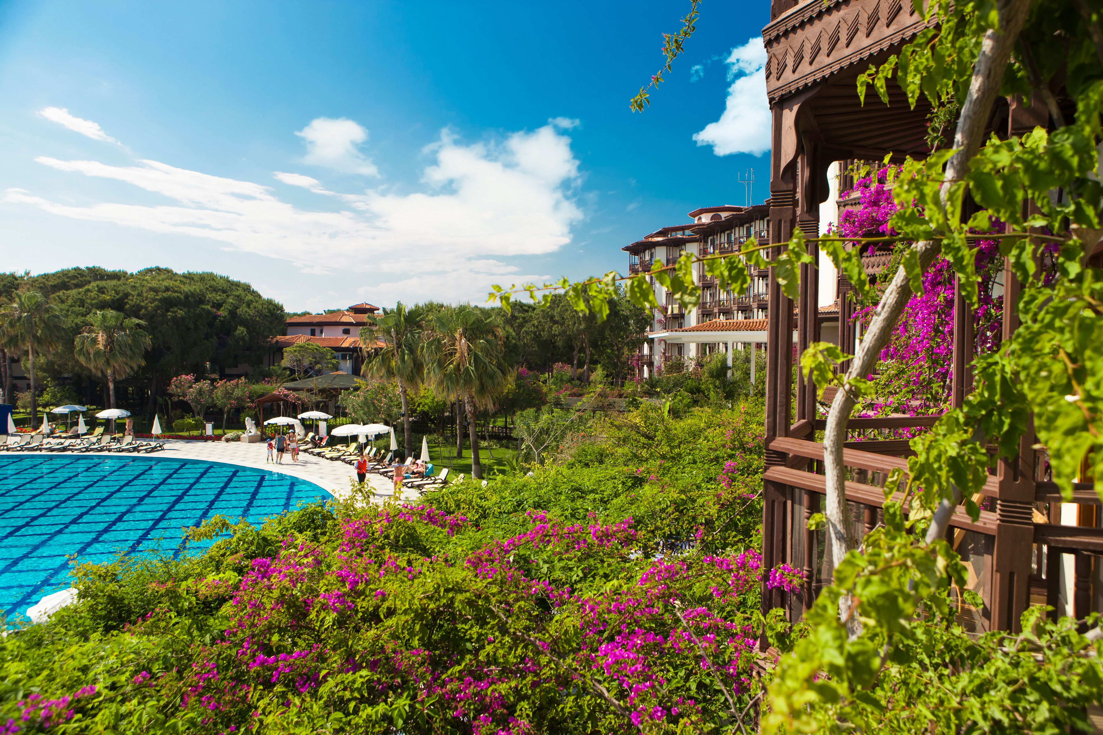 A pool area with lounge chairs and umbrellas, surrounded by lush greenery and pink flowers.