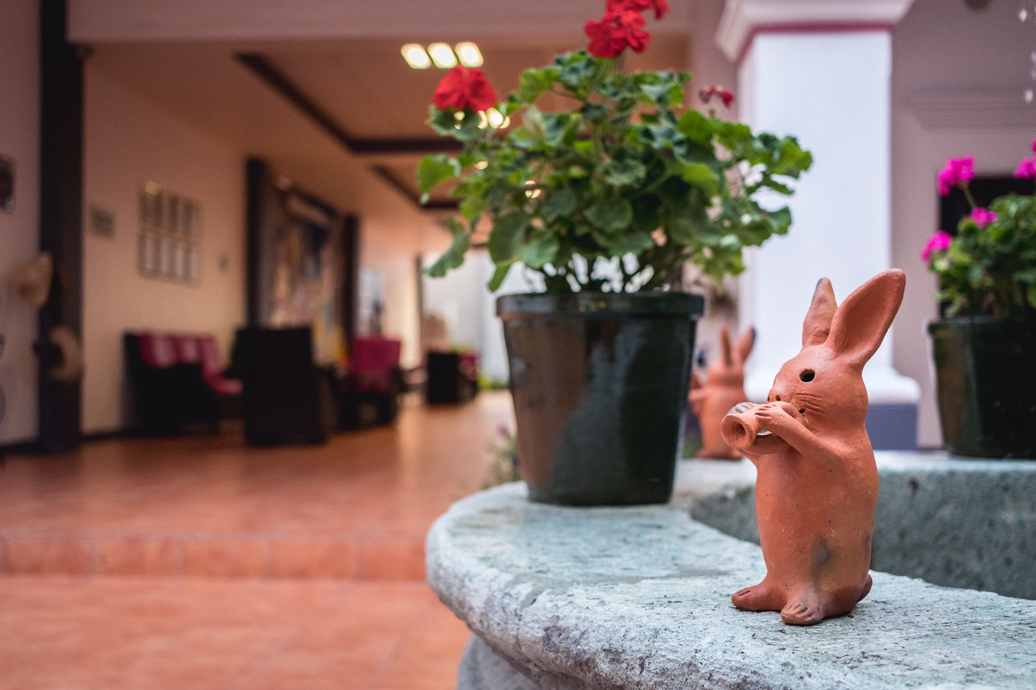 Foto - Hotel del Marquesado