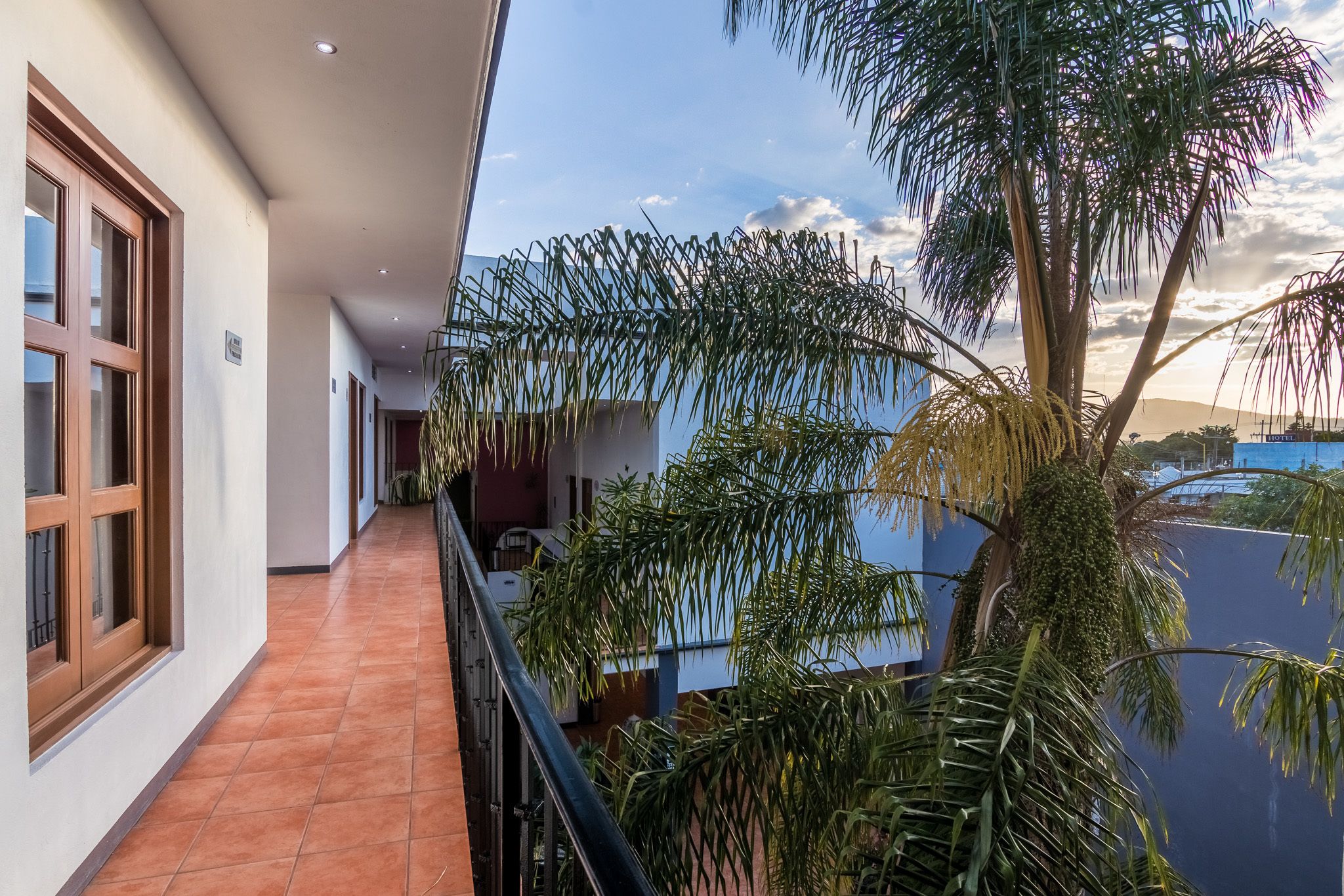 Un pasillo con vistas a un balcón, una palmera y un edificio al fondo.