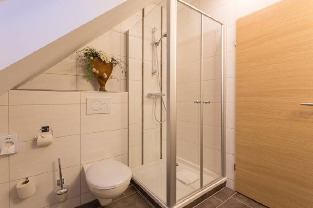classic double room | bathroom | shower, free toiletries, hair dryer, towels