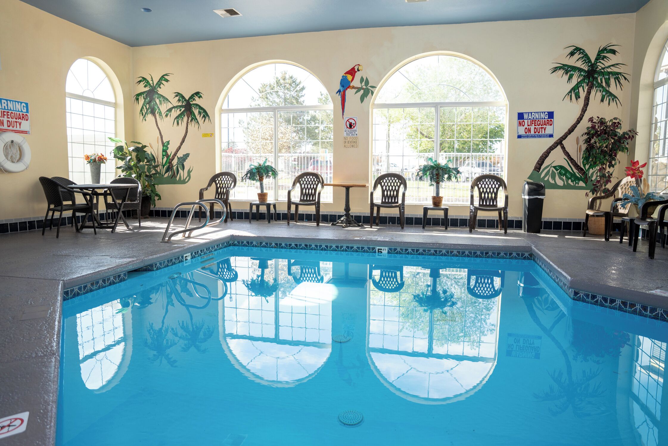 An indoor swimming pool with clear blue water, surrounded by chairs and potted plants.