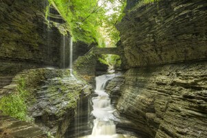 เดินป่า