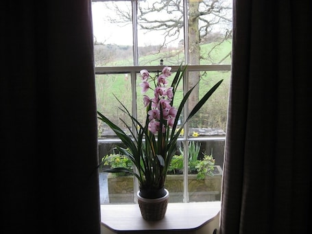 A potted orchid on a windowsill with a view of a garden and a tree outside.