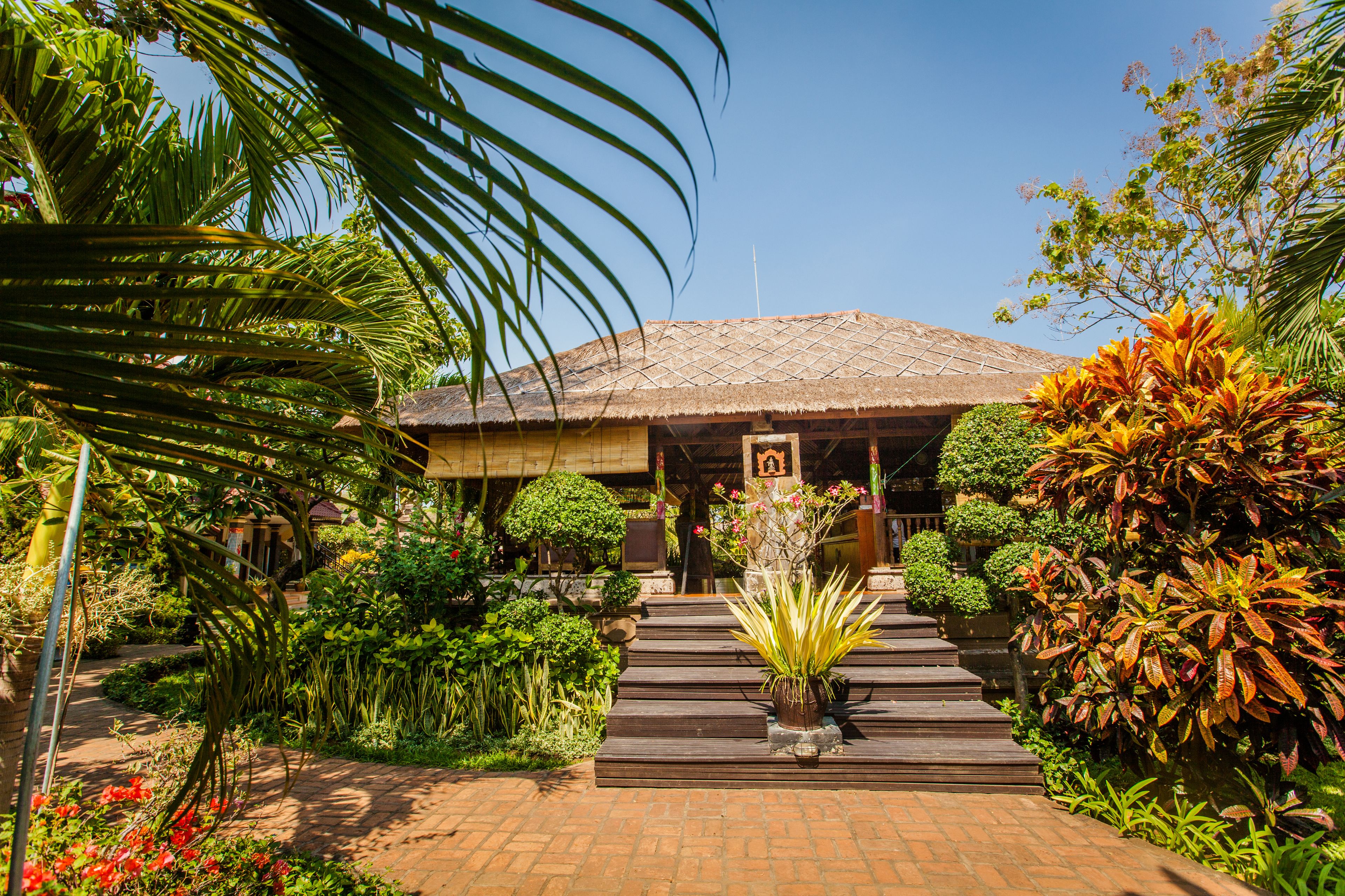 A thatched-roof building with a paved entrance, surrounded by lush greenery and various plants.