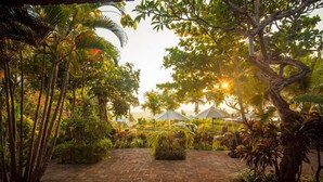 A paved pathway surrounded by lush greenery and palm trees, leading to a shaded area with umbrellas. - Zen Resort Bali (Buleleng)