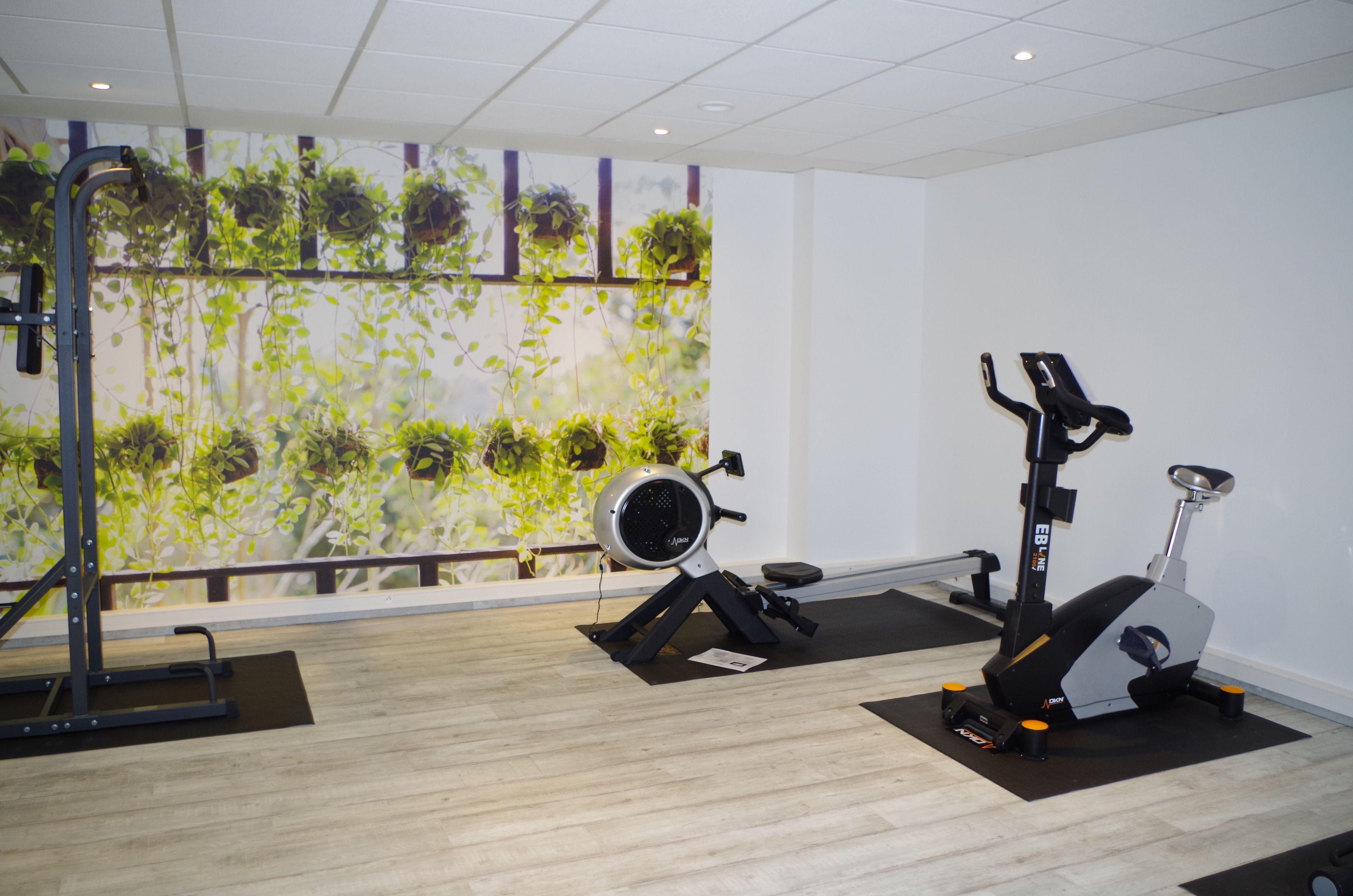 Un gimnasio con equipo de ejercicio, incluyendo una cinta de correr y una bicicleta estática, y una pared decorada con plantas colgantes.