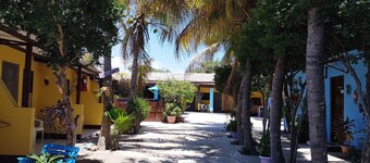 Apartamentos Cecil Paradise