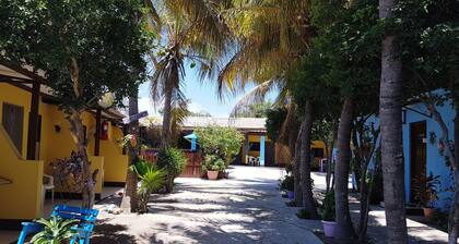 Apartamentos Cecil Paradise