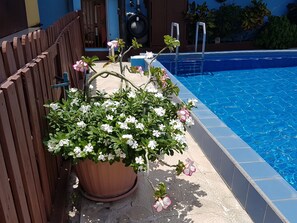 Property grounds - Apartamentos Cecil Paradise (Willemstad)