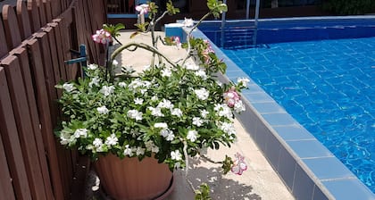 Apartamentos Cecil Paradise