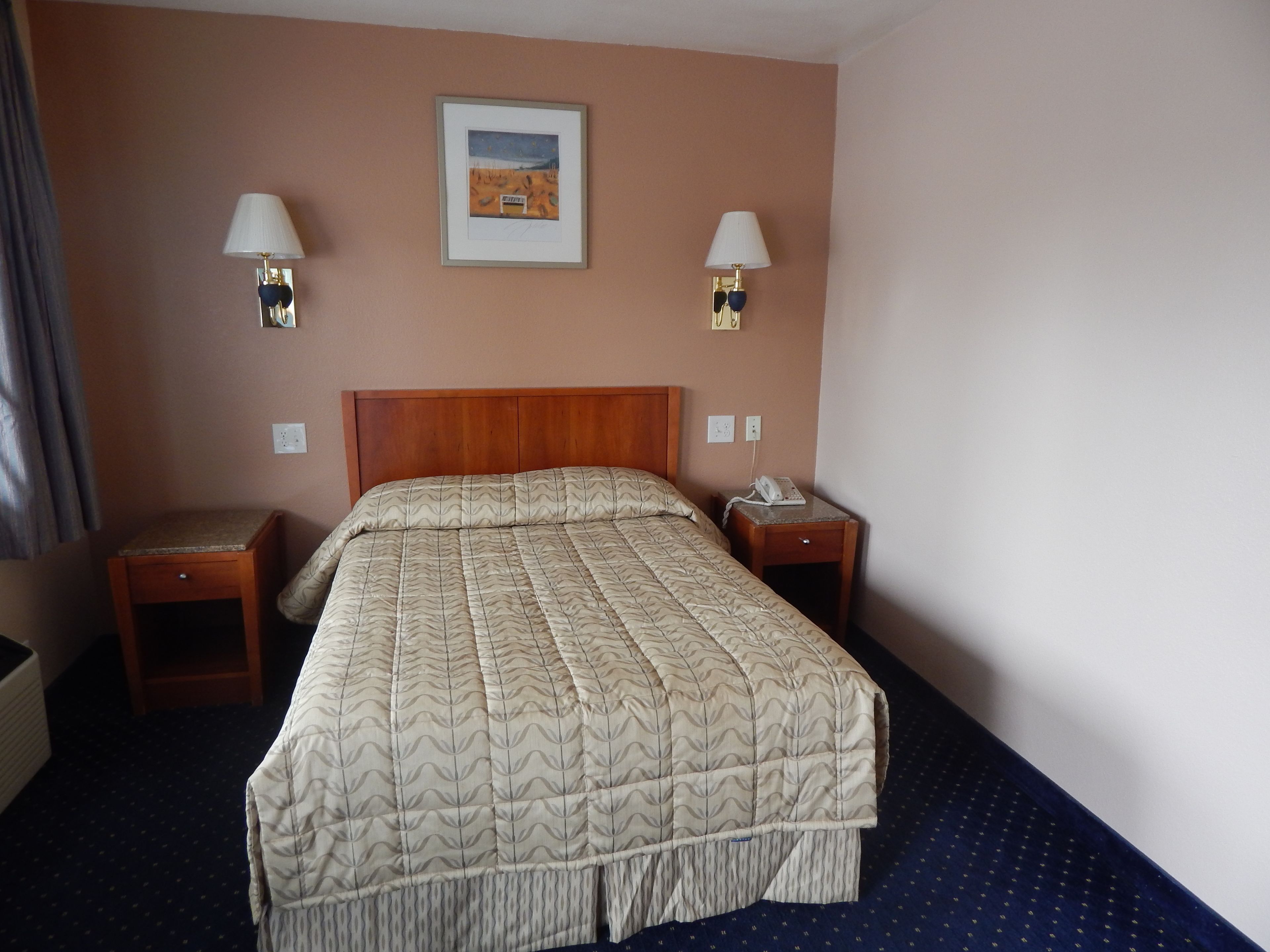 Habitación de hotel con cabecera de madera, una cama grande con colcha estampada, dos mesitas de noche con lámparas y un cuadro enmarcado en la pared.