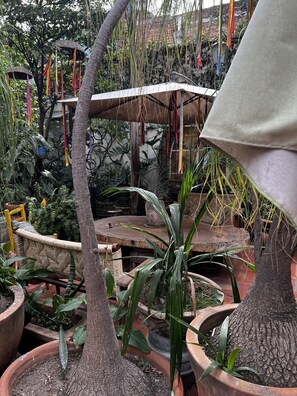 Courtyard - Casa Tlaquepaque (Tlaquepaque)