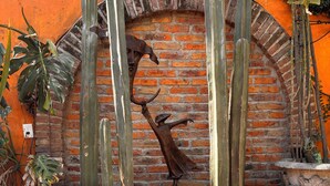 A cactus garden with several large cacti in terracotta pots against a brick wall. - Casa Tlaquepaque (Tlaquepaque)