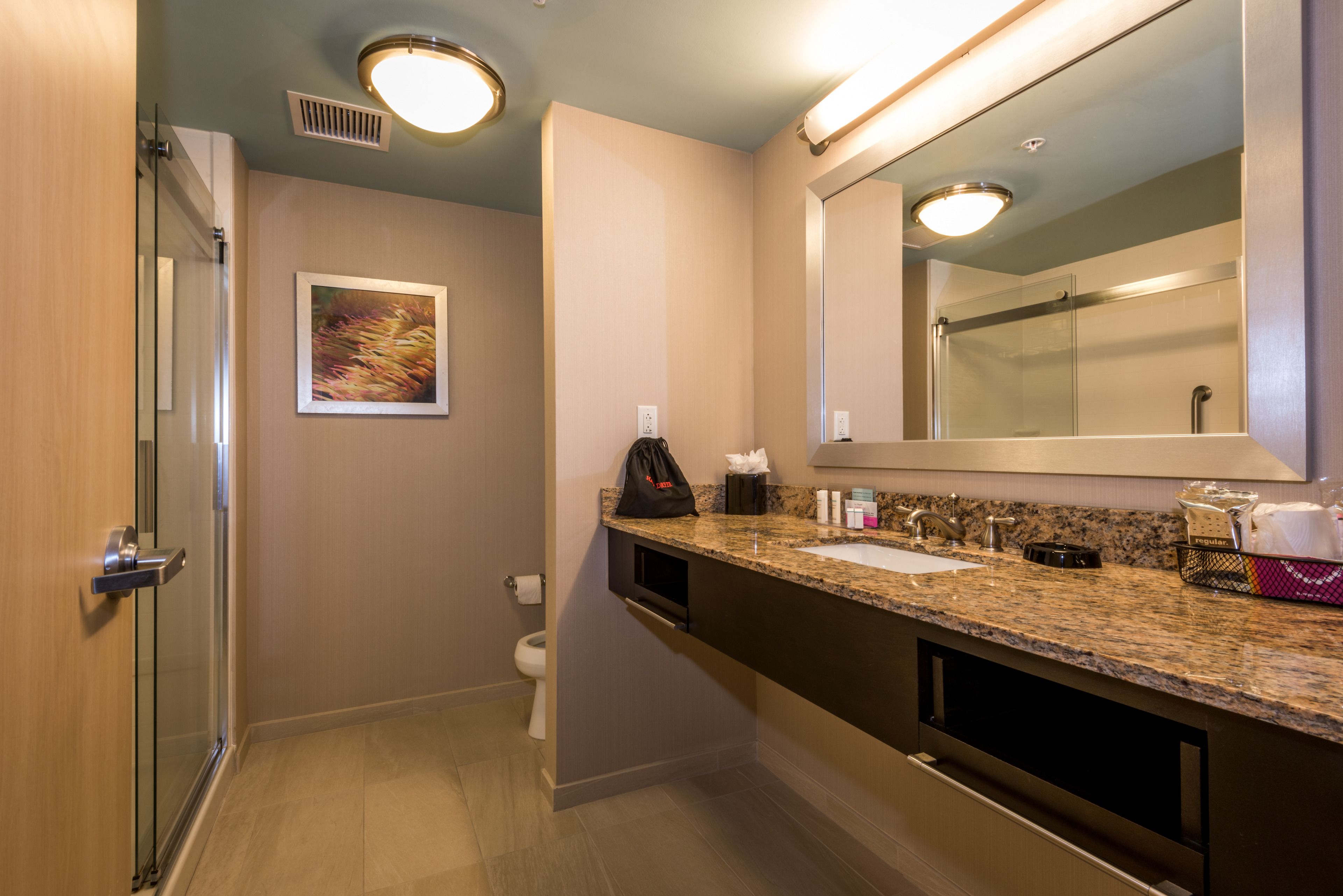 combined shower/bathtub, hydromassage showerhead, free toiletries