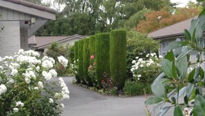 A residential driveway with neatly trimmed hedges and flowering plants. - Admiral Motel (Christchurch)