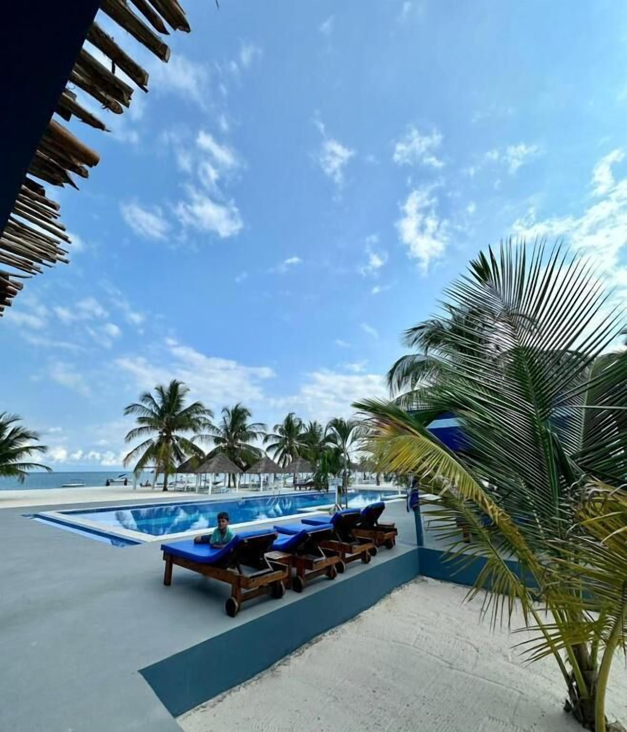 Zona de piscina con sillas de descanso y una palmera.