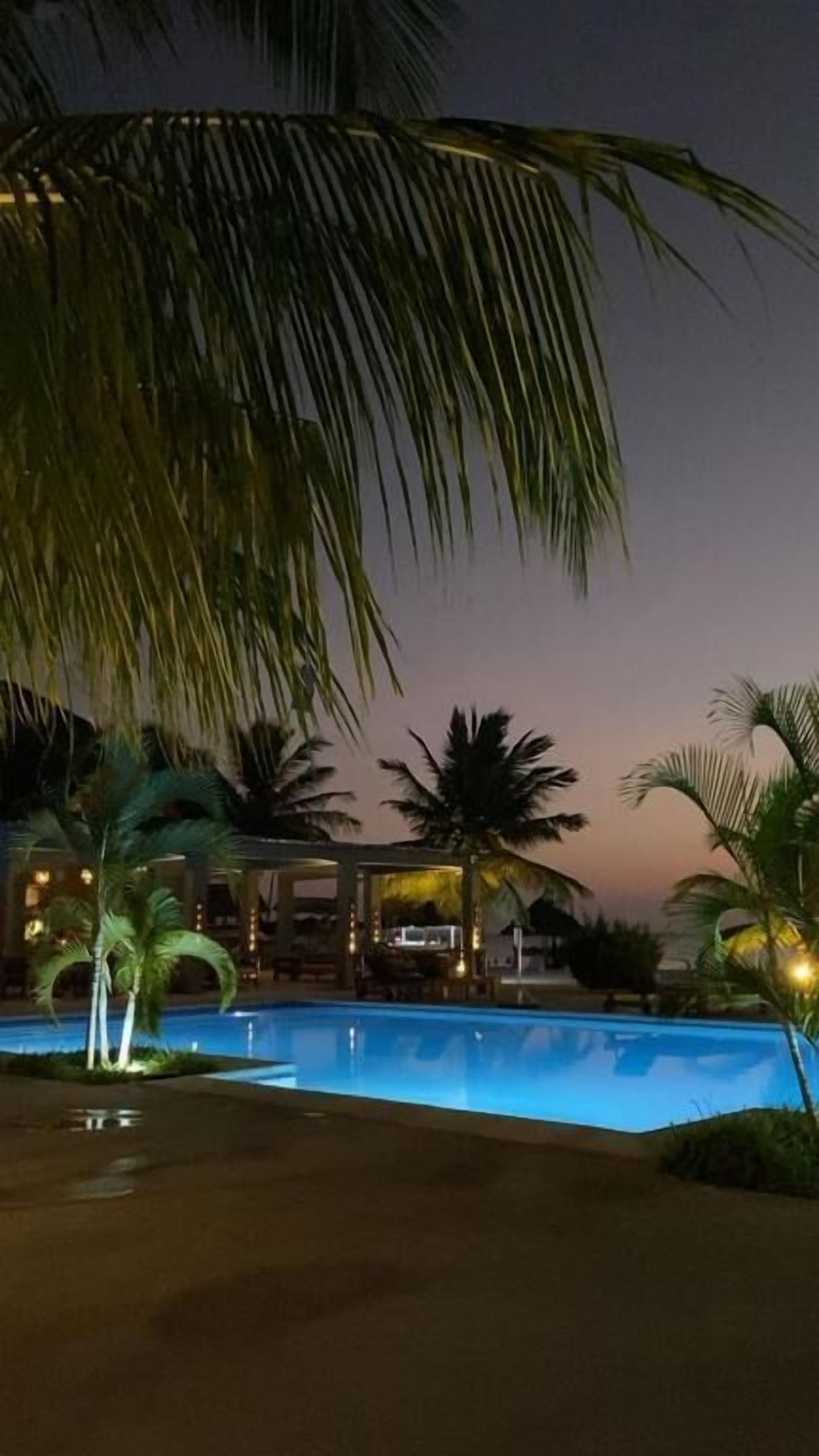 A swimming pool area at dusk with palm trees and a building in the background.